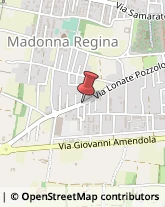 Analisi Cliniche - Medici Specialisti Busto Arsizio,21052Varese