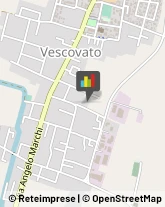 Bestiame - Allevamento e Commercio Vescovato,26039Cremona