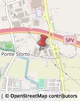 Spedizioni Marittime, Aeree e Terrestri,36061Vicenza