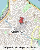 Pelliccerie Mantova,46100Mantova