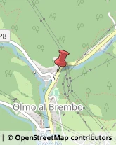 Ortofrutticoltura Olmo al Brembo,24010Bergamo