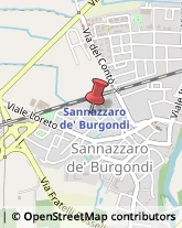 ,27039Pavia