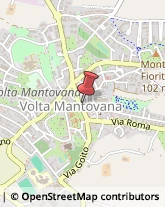 ,46049Mantova