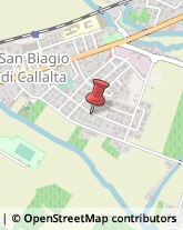 Filati - Dettaglio San Biagio di Callalta,31048Treviso