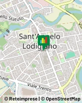 Biologia - Studi e Laboratori Sant'Angelo Lodigiano,26866Lodi