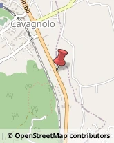 Falegnami Cavagnolo,10020Torino