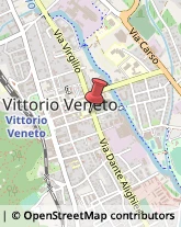 Licei - Scuole Private Vittorio Veneto,31051Treviso