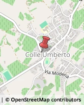 Amministrazioni Immobiliari Colle Umberto,31014Treviso