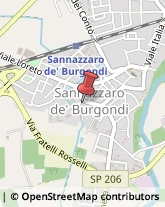 Associazioni Sindacali Sannazzaro de' Burgondi,27039Pavia