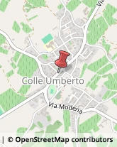 Bomboniere Colle Umberto,31014Treviso