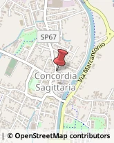 Manicure e Pedicure Concordia Sagittaria,30023Venezia