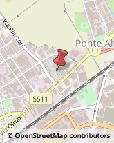 Porte,36051Vicenza