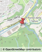 Idraulici e Lattonieri Ponte Nossa,24028Bergamo