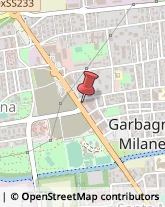 Distribuzione Gas Auto - Servizio Garbagnate Milanese,20024Milano