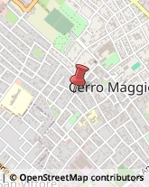 Traduttori ed Interpreti Cerro Maggiore,20023Milano