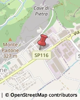 Palestre e Centri Fitness,25080Brescia