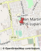 Turismo - Consulenze San Martino di Lupari,35018Padova