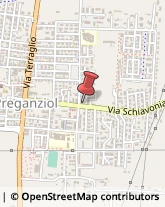 Assicurazioni Preganziol,31022Treviso