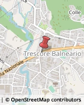 Ortofrutticoltura Trescore Balneario,24069Bergamo