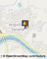 Associazioni Sindacali Anguillara Veneta,35022Padova