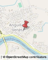 Associazioni Sindacali Anguillara Veneta,35022Padova