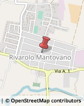 ,46017Mantova