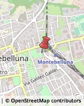 Agrumi Montebelluna,31044Treviso