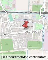 Pronto Soccorso Torviscosa,33050Udine