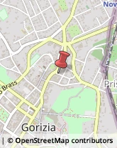Partiti e Movimenti Politici Gorizia,34170Gorizia