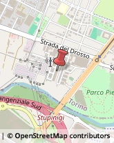 Feste - Organizzazione e Servizi Torino,10135Torino