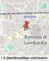 Lavoro Interinale Romano di Lombardia,24058Bergamo