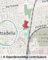 Articoli per Ortopedia Cittadella,35013Padova