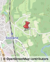 Agopuntura Gozzano,28024Novara