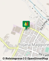 Trasporti Internazionali Pojana Maggiore,36026Vicenza