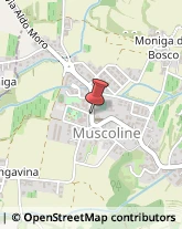 Maniglie Muscoline,25080Brescia