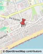 Agrumi Jesolo,30016Venezia