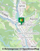 Vivai Piante e Fiori Sant'Omobono Terme,24038Bergamo