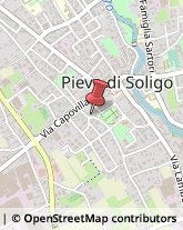 Dietologia - Medici Specialisti Pieve di Soligo,31053Treviso