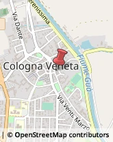 Panifici Industriali ed Artigianali Cologna Veneta,37044Verona