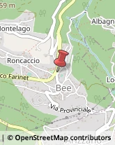 Giornalai Bee,28813Verbano-Cusio-Ossola
