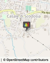 Bestiame - Allevamento e Commercio Casale di Scodosia,35040Padova