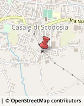 Bestiame - Allevamento e Commercio Casale di Scodosia,35040Padova