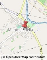 Pizzerie Montegaldella,36047Vicenza