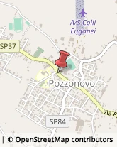 Assicurazioni Pozzonovo,35020Padova