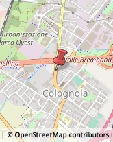 Gioiellerie e Oreficerie - Dettaglio Bergamo,24126Bergamo