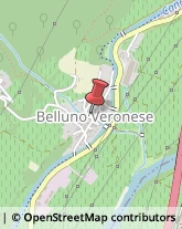 Ortofrutticoltura Brentino Belluno,37020Verona