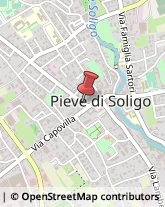 Tour Operator e Agenzia di Viaggi Pieve di Soligo,31053Treviso