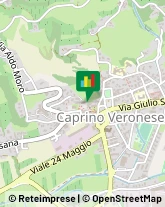 ,37013Verona