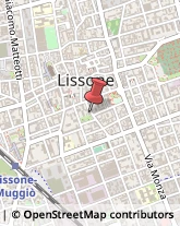 Consulenza alle Imprese e agli Enti Pubblici Lissone,20851Monza e Brianza