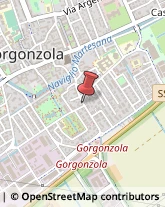 Assicurazioni Gorgonzola,20064Milano